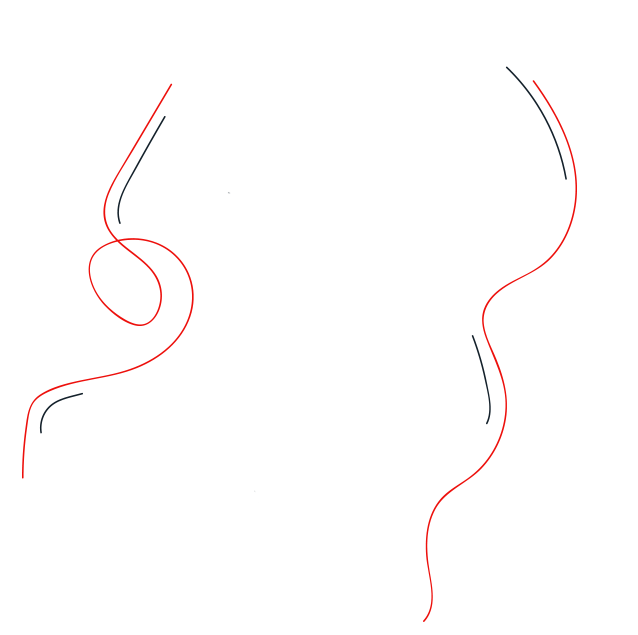 layer-2